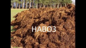 ОРГАНИЧЕСКИЕ УДОБРЕНИЯ. Виды органических удобрений.