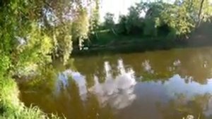 Мормышинг на р.Пахра Новленская плотина