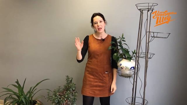 Влияет ли музыка на растения? смотреть онлайн