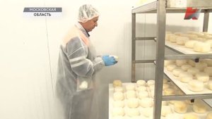 В совхозе им.Ленина открыто производство сыра из молока с собственной фермы.