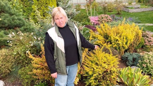 БАРБАРИС И ЕГО ВИДЫ | КАК УХАЖИВАТЬ
