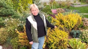 БАРБАРИС И ЕГО ВИДЫ | КАК УХАЖИВАТЬ