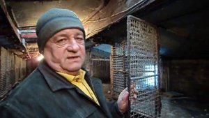 Размеры и описание клеток для нутрий