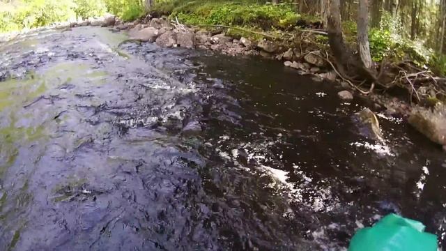 #6 На заповедный остров Хит | Пороги реки Важенка | Поход 2021 смотреть онлайн