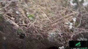 НОЧЬ в ЗАКРЫТОЙ ЗАБРОШКЕ на ОСТРОВЕ (КОРЕШ, EXILE, FRAME TAMER, ПАРАДЕЕВИЧ, ДАНИЛА ГОРИЛЛА)