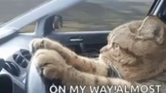 погнали смотреть онлайн