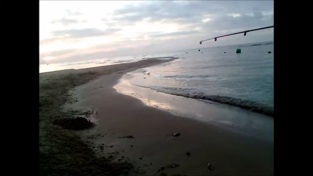 как видно поклевку с ассиметричной петлей смотреть онлайн