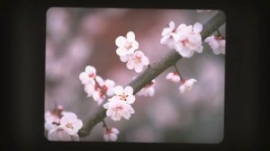 Поздравление с днем рождения ученику