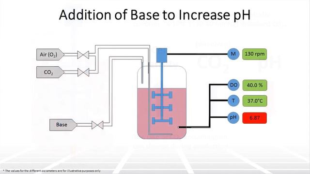 Влияние pH на Культуры Клеток в Биореакторах
