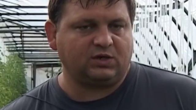 Салаты, кочанные и листовые смотреть онлайн