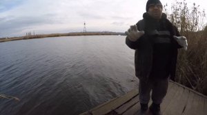 РЫБАЛКА НА ГРУШКУ /РЫБАЛКА НА КАРАСЯ 2022/рыбалка раздача карася