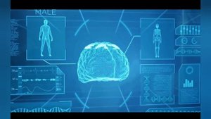 Почему некоторые люди едят много и не толстеют?