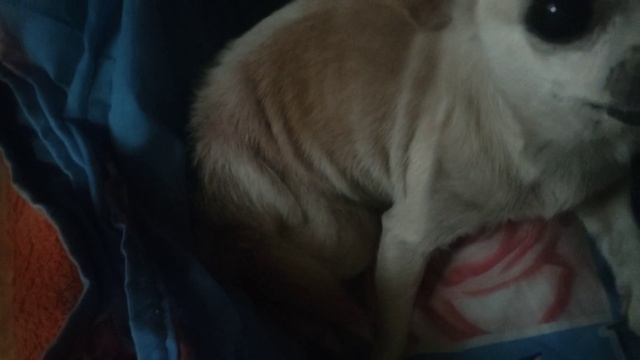 #соковарка... смотреть онлайн