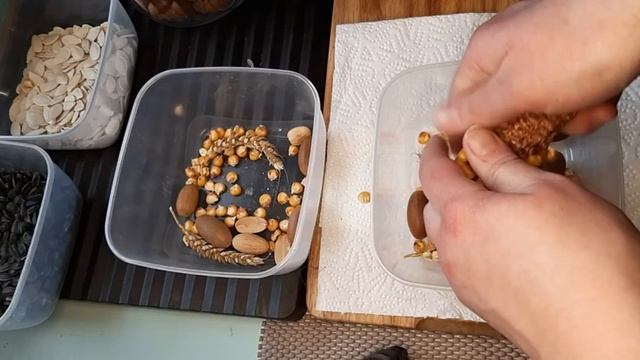 Рецепт еды для птичек