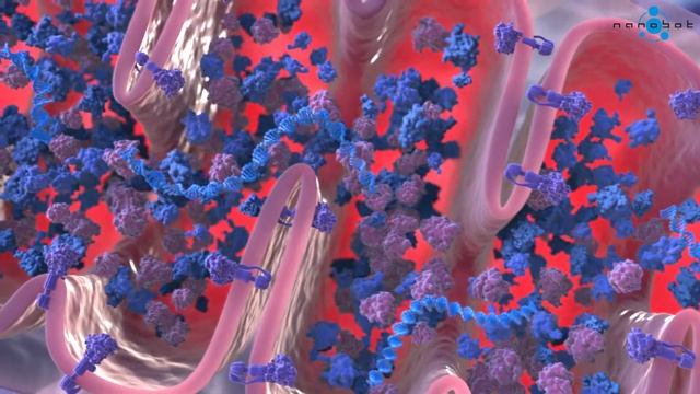 Krebs cycle 3D medical animation смотреть онлайн