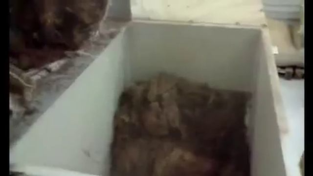 Рэп о любви к работе смотреть онлайн