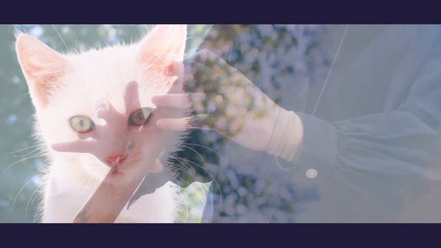 Kiki's Delivery Service / Native Flute American Cover смотреть онлайн