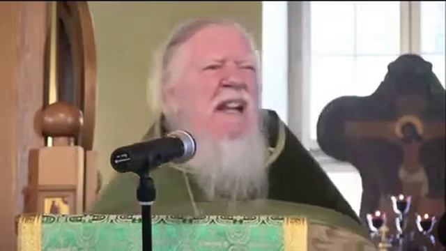 Ты в аду, сынок! Протоиерей Дмитрий Смирнов