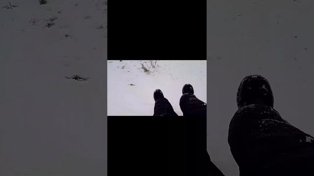 все видио каторый я снял на камеру смотреть онлайн