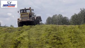 Отзыв на шины Nortec Новосибирск
