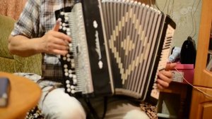 электробаян,