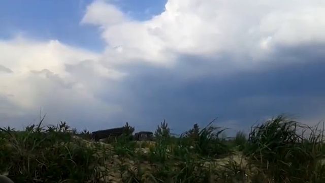 Стреляет ГРАД украинской армии / Ukrainian army shoots GRAD
