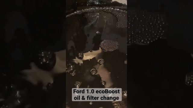 Ford Focus 1.0 ecoboost oil and filter change