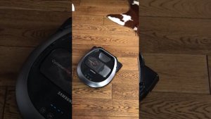 Робот пилосос Samsung!!! Постановка на зарядку!)) Robot vacuum cleaner Samsung !!! Charging!))