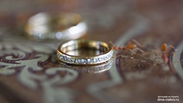 Муравей смотреть онлайн