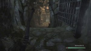 The Only Way to Survive Legendary Survival Skyrim