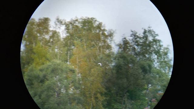 Стабилизация в бинокле Canon 14x32 IS. Powered IS смотреть онлайн