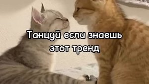 ?Танцуй если знаешь этот новый тренд тик-ток тренды 2023года?