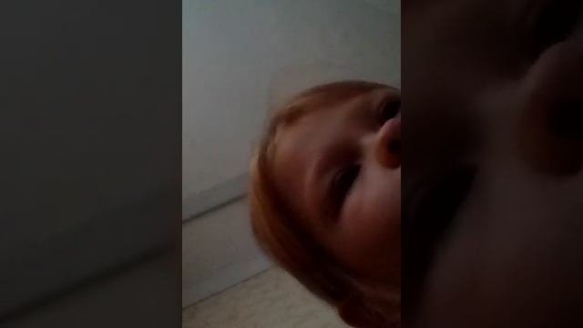 история+сквиши