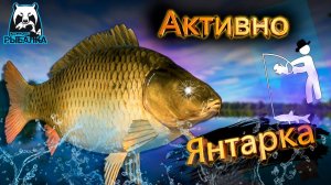 RF4 ЕЛЕ УСПЕВАЛ С УДИЛИЩАМИ КАК ДИРИЖЁР ОЧЕНЬ АКТИВНО #рр4