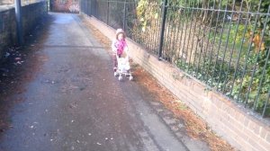 Мама-лера гуляет с коляской