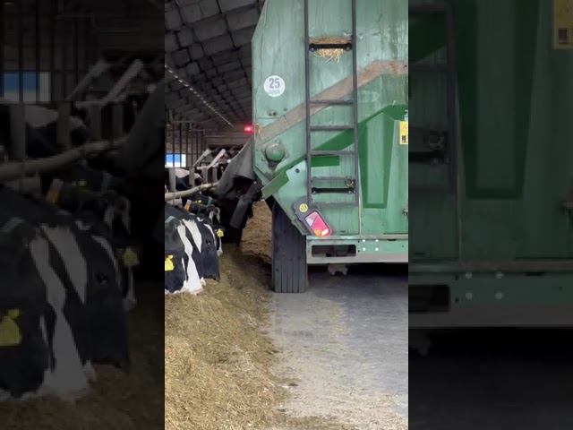 Кормосмеситель KEENAN MechFiber 400 объемом 28м3 на просторах одного из хозяйств республики Мордовия