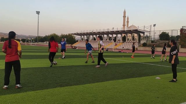 Mimosa Sport: Your Pathway to Peak Performance смотреть онлайн