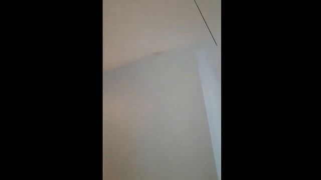 Поклейка обоев на зашпатлёванные стены смотреть онлайн