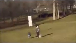 Гигантский орёл уносит ребёнка
