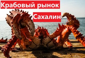 Крабовый рынок на Сахалине.