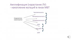 Лечение ТБ, часть 3. Виды лекарственной устойчивости. Терапия лекарственно чувствительного ТБ