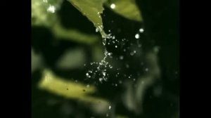 Медитация "Тета ритм"