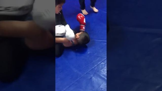 Бойцовский Клуб ‘’САМБО-ММА’’ смотреть онлайн