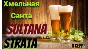 Хмельная Санта Барбара продолжается!Хмель Strata и Sultana!Дегустация!