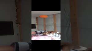 VID_20230903_124531.mp4