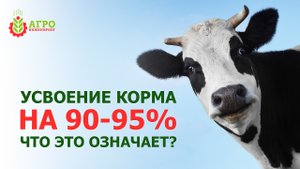 Что означает усвоение экструдированного корма на 90-95%.