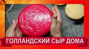 ГОЛЛАНДСКИЙ сыр в домашних условиях. Полный рецепт приготовления