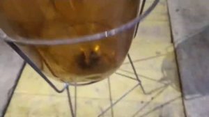 Самодельный цкт и сусло варочный котел