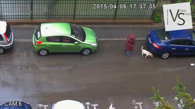 HDCVI видеокамера Dahua HFW1100R VF смотреть онлайн