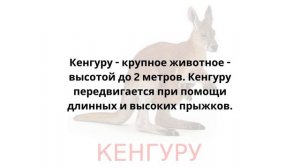 Животные: Кенгуру. Карточки Домана. общееразвитие развитиеребёнка